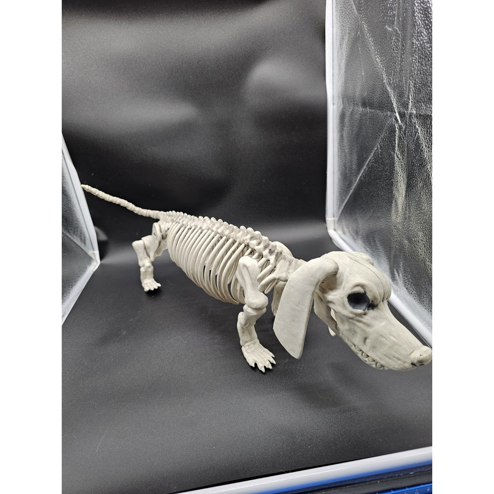 Dachshund Halloween Skeleton Mr‎ Bones Halloween Decor